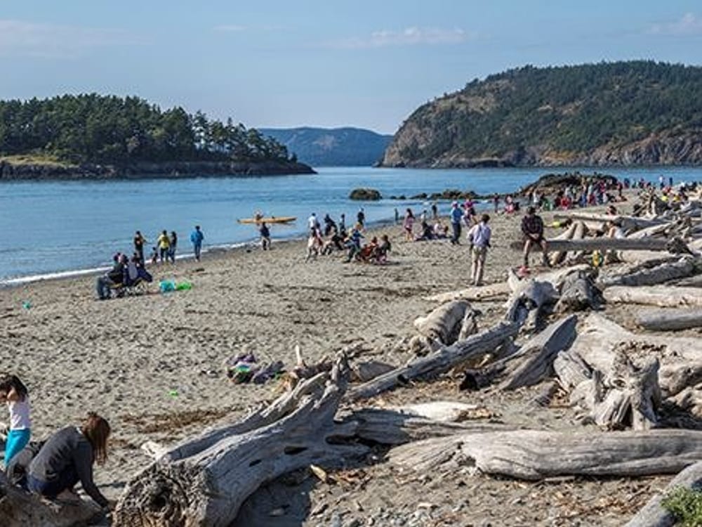 Beaches & the Salish Sea