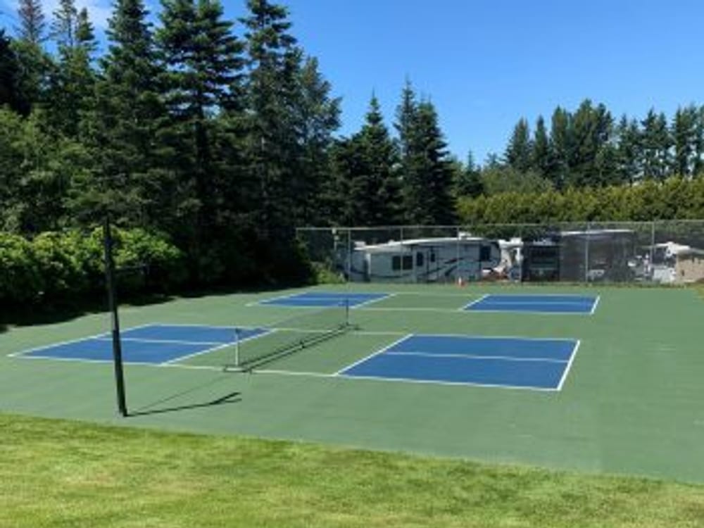 Pickleball courts