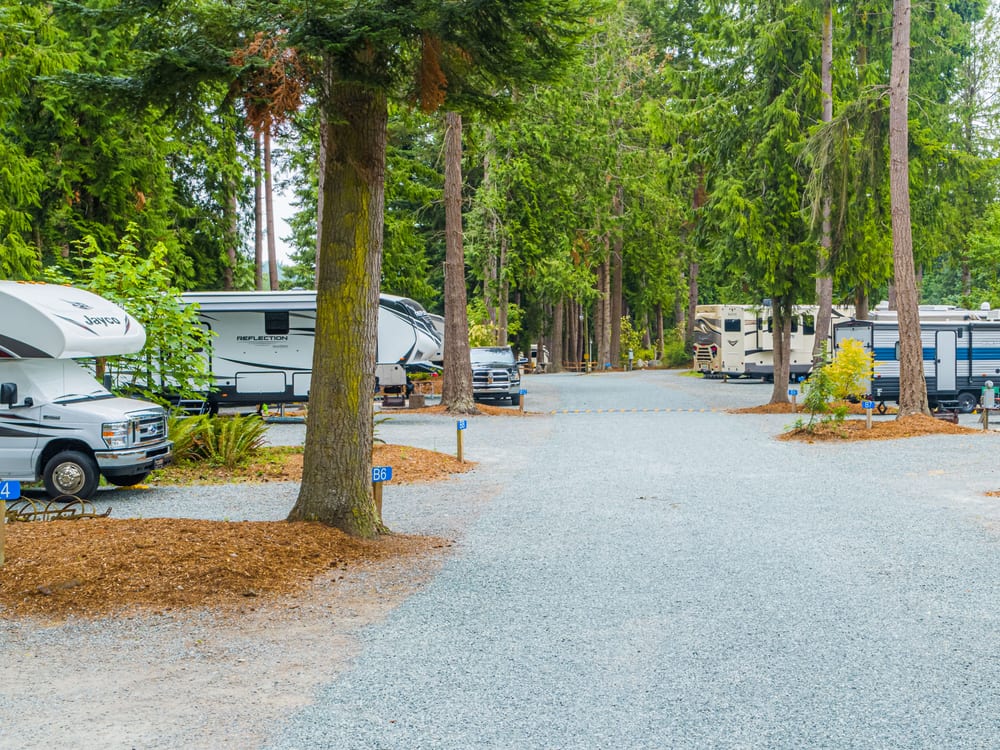 Full hook-up sites among the evergreens